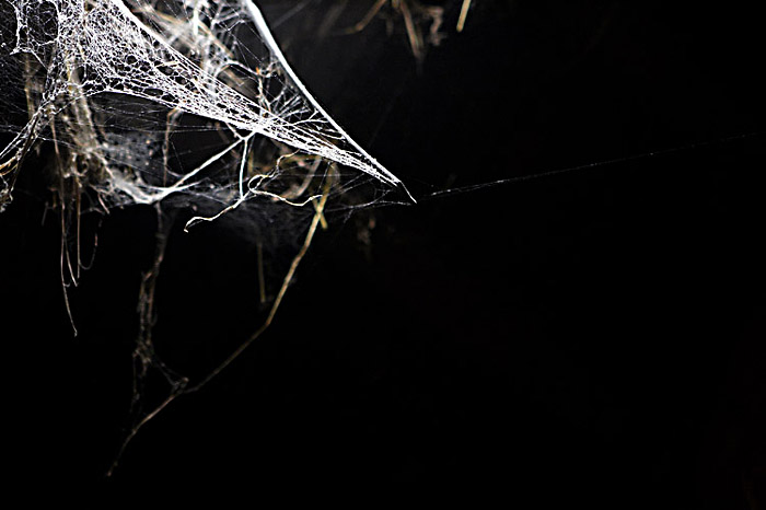 Das Web