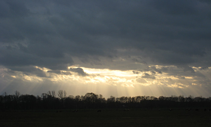 Impression meiner Heimfahrt von Berlin nach Hamburg