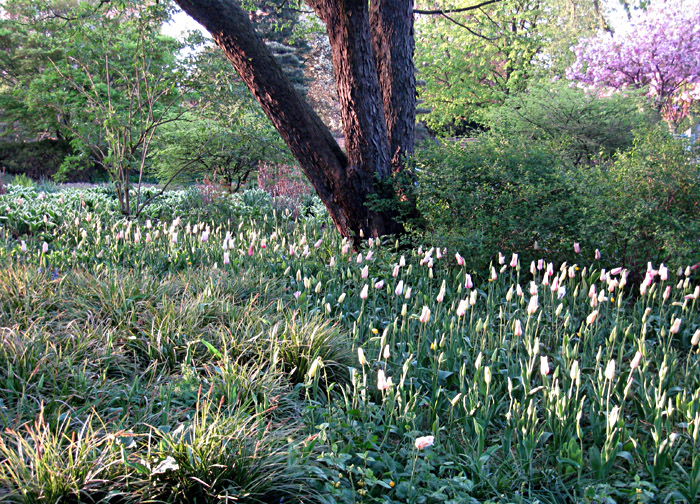 Planten un Blomen in Hamburg