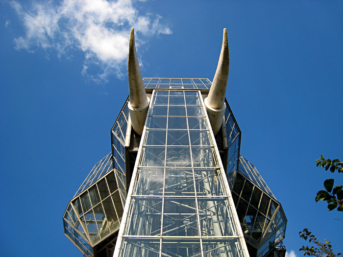 Der Elefant des Maximilianparks in Hamm