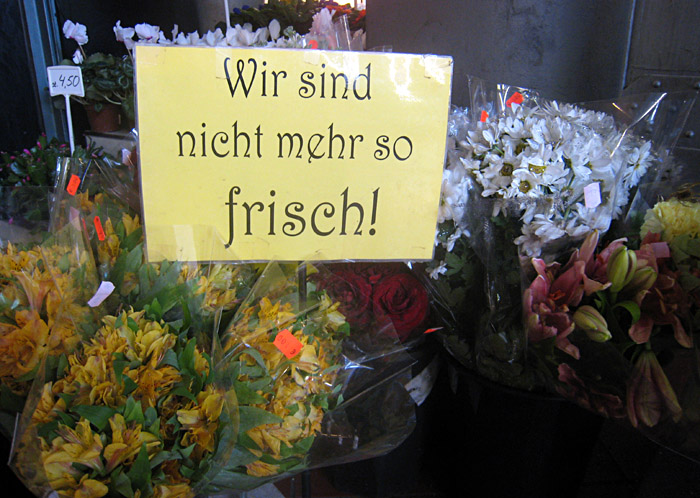 Nicht mehr ganz frische Blumen