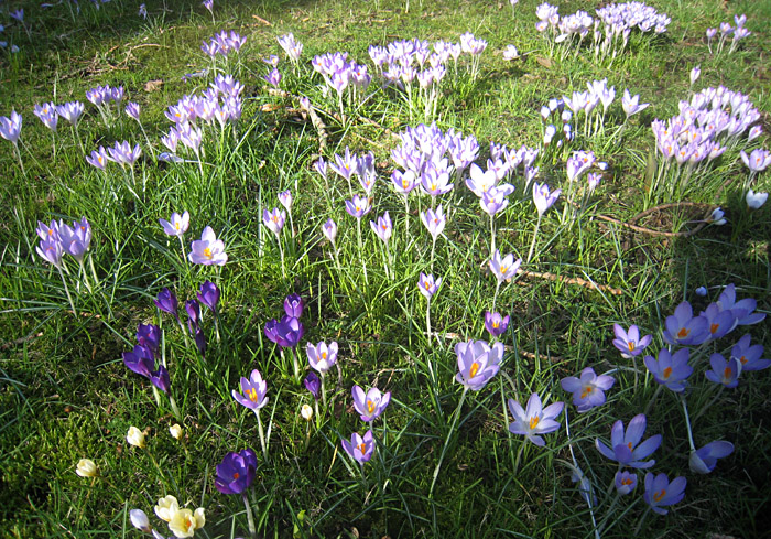 Der Frühling kommt