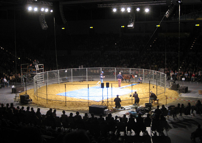 Monty Roberts in der Alsterdorfer Sporthalle, Hamburg