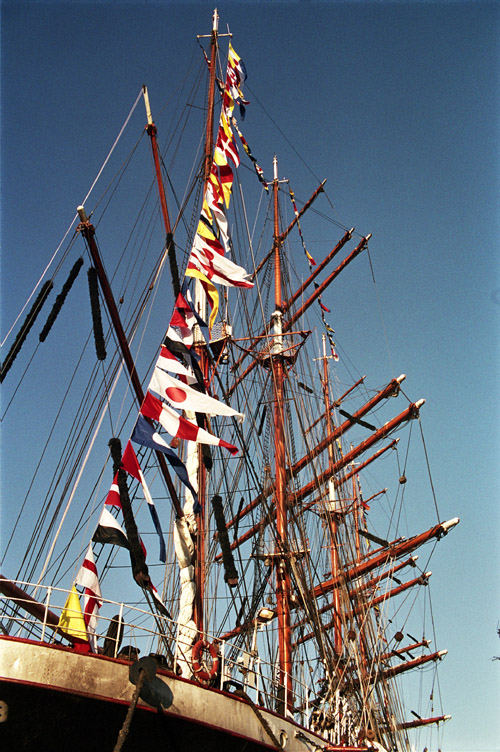 Sedov